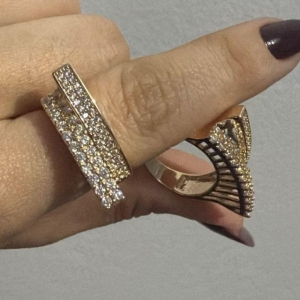 Anel Dupla Fileira Cravejada